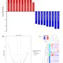 Analysis of miRNA expression profile with metformin treatment in high glucose-induced HUVECs (¬n = 3) (A) The differential expression of miRNAs in high glucose-induced HUVECs treated with metformin, showing both up-regulated (red) and down-regulated (blue) miRNAs; (B) a volcano plot displaying the fold change of miRNA expression in the samples (log2 fold change) with their statistical significance (-log10 (p-value)), color-coded to distinguish the significantly upregulated (red), downregulated (blue), and n
