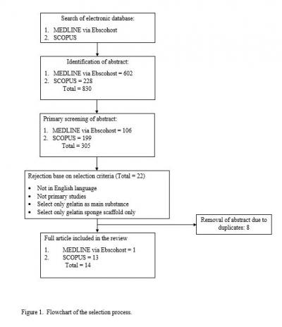 Figure 1: Flowchart of the selction process